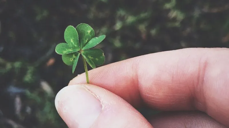 Signs of Good Luck on Your Body